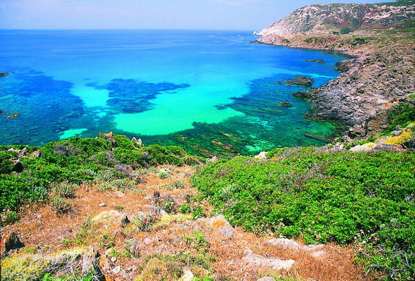 Cover Parco Nazionale dell’Asinara