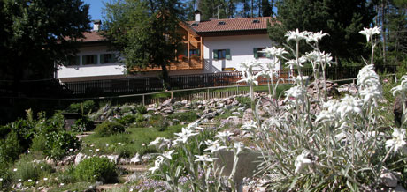 Cover Giardino botanico alpino Viote di Monte Bondone