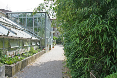 Cover Orto Botanico dell’Università di Ferrara