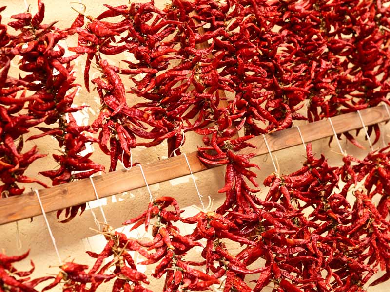 Cover Museo del peperoncino/Chili Pepper Museum