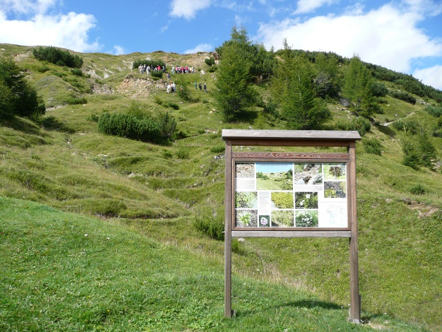 Cover Giardino Alpino Valcava