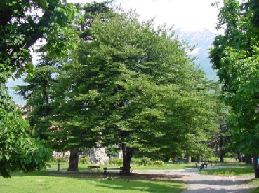 Cover Giardini pubblici di Rue Conseil Des Commis, Aosta